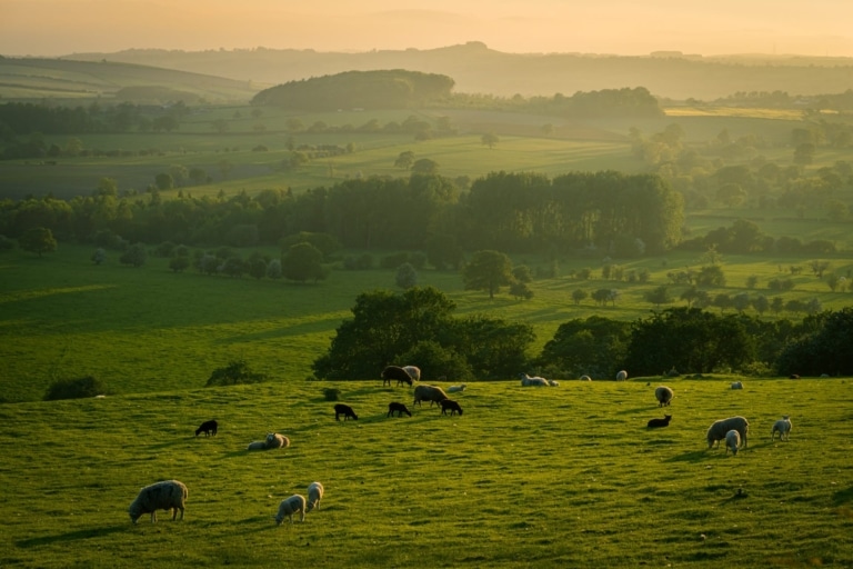 Westminster think tank to open Yorkshire office