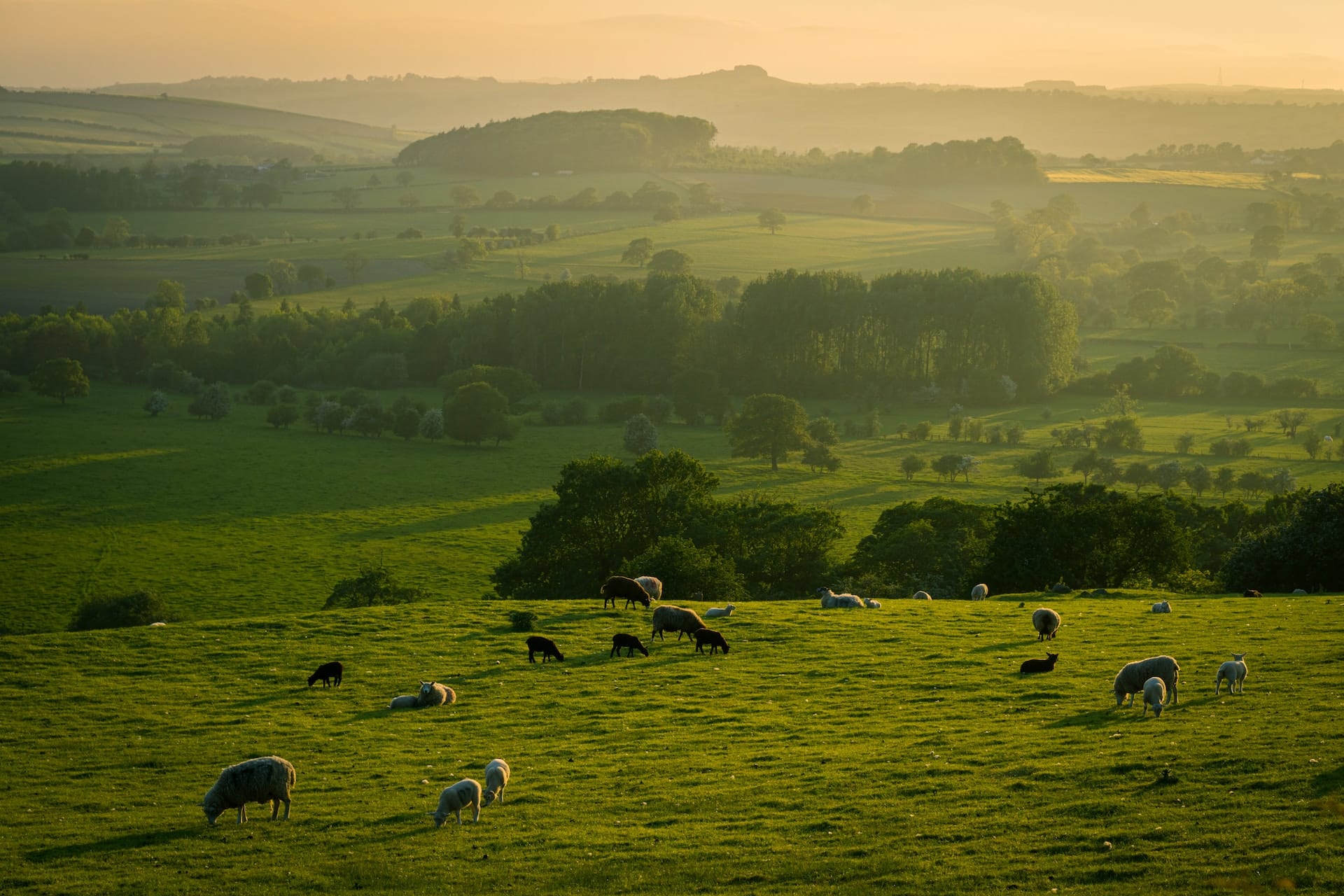 Westminster think tank to open Yorkshire office